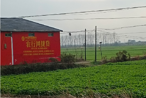 木里如何防止墙体广告褪色呢？