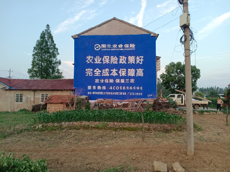 木里墙体广告的优劣势你知道吗？